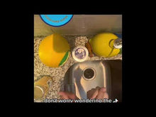 Load and play video in Gallery viewer, THE HAND SCRUB- LEMON CLOVE